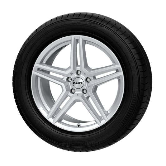 Complete winter wheels for Skoda Enyaq Platin P73
